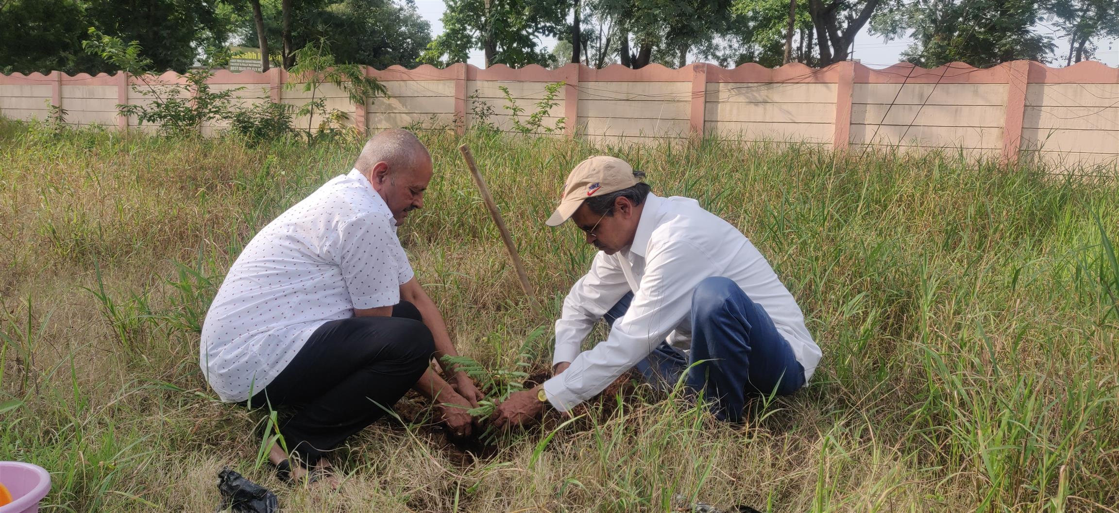 महाविद्यालय परिसर में पौधारोपण "Respect for Manual Labour" One of the best practices of the college.